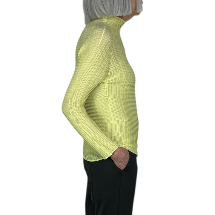 WOOLY PLEATS-66 HI-NECK TOP