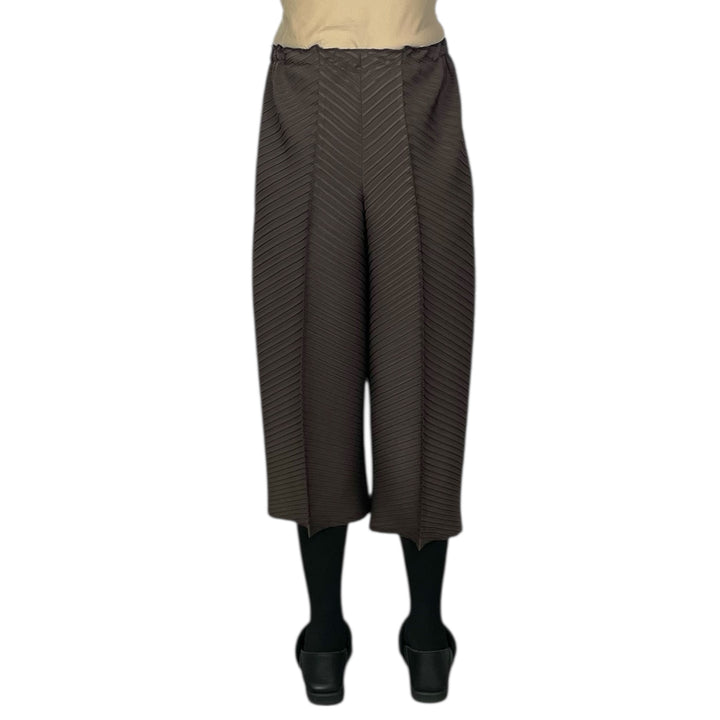 PLASTER PLEATS SOLID PANT