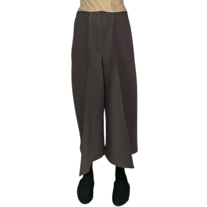 PLASTER PLEATS SOLID PANT