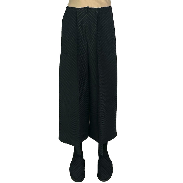 PLASTER PLEATS SOLID PANT