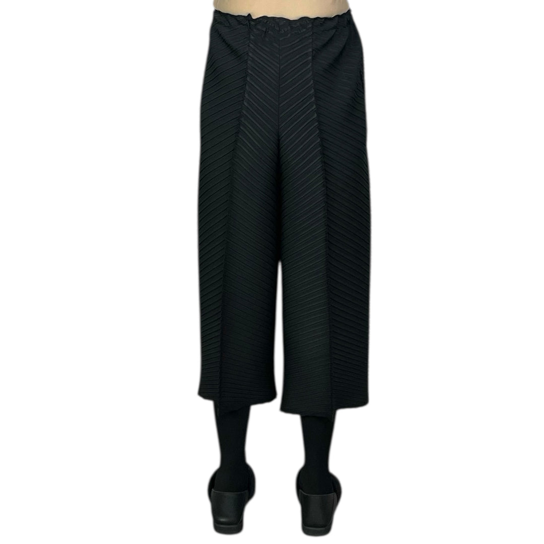 PLASTER PLEATS SOLID PANT