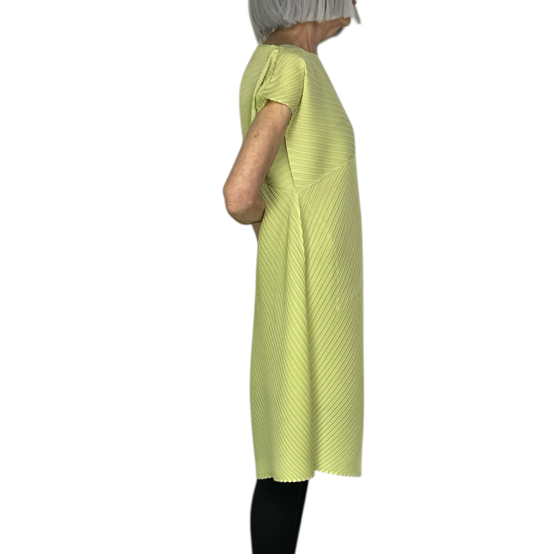 PLASTER PLEATS SOLID DRESS