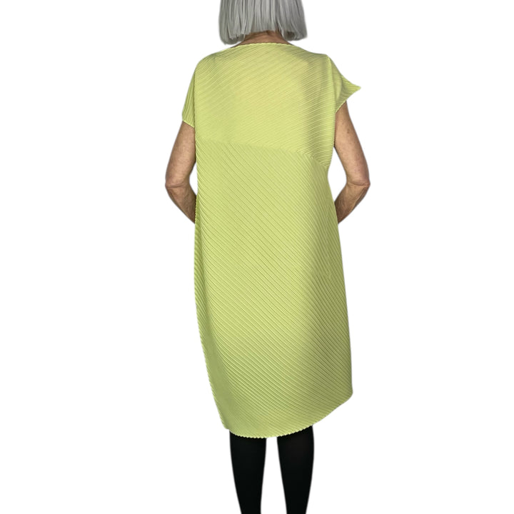 PLASTER PLEATS SOLID DRESS