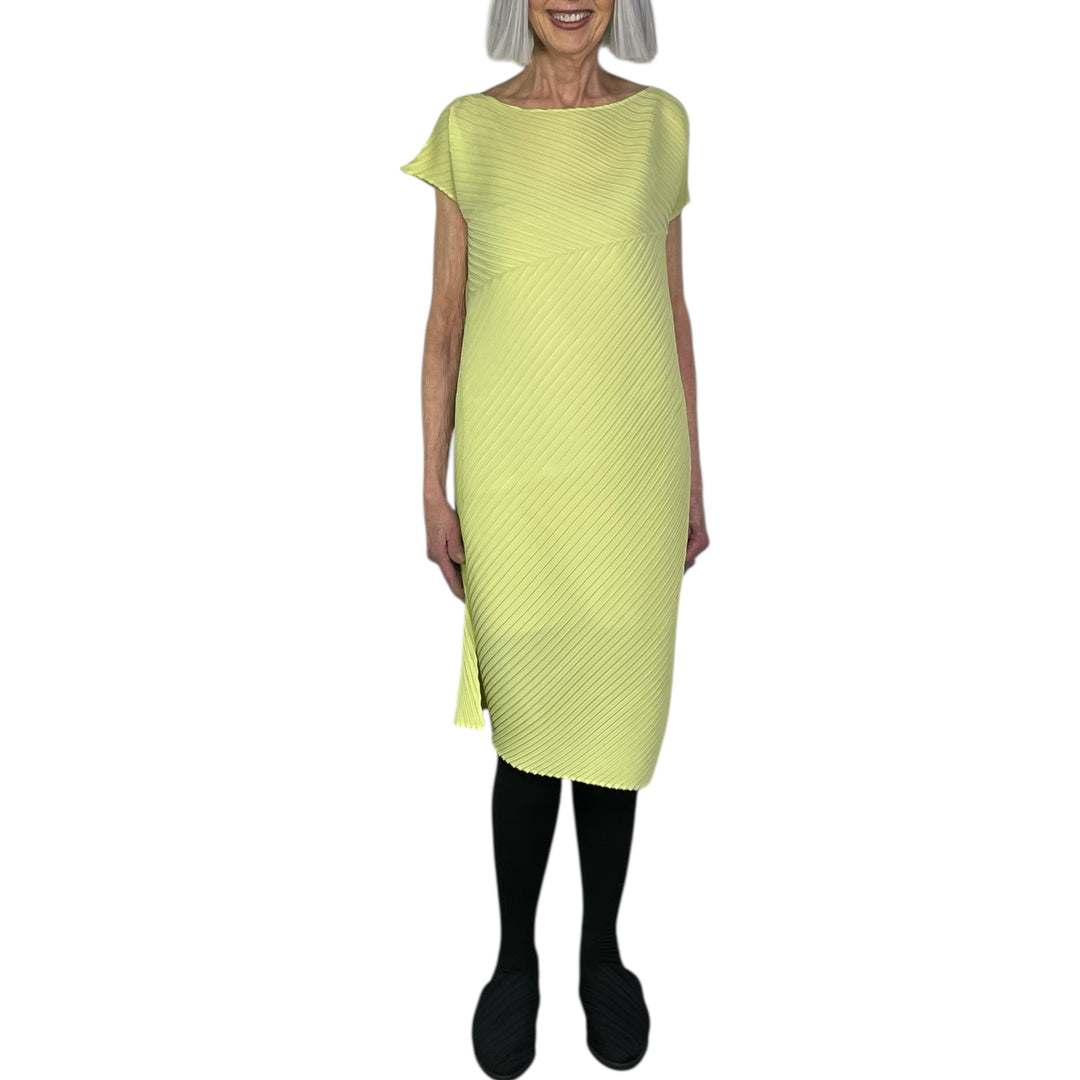 PLASTER PLEATS SOLID DRESS