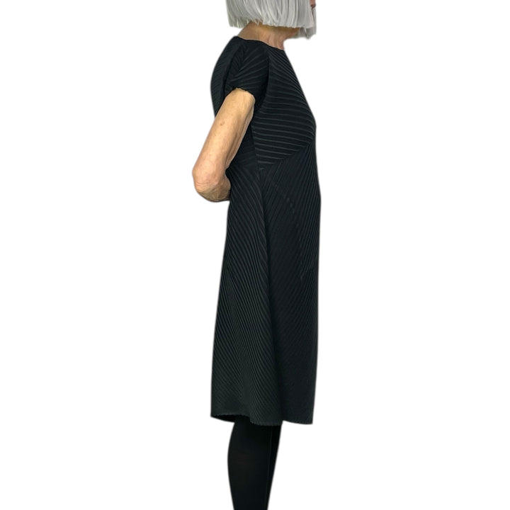 PLASTER PLEATS SOLID DRESS