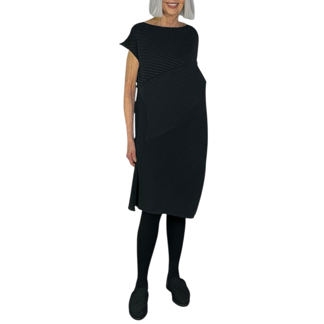 PLASTER PLEATS SOLID DRESS