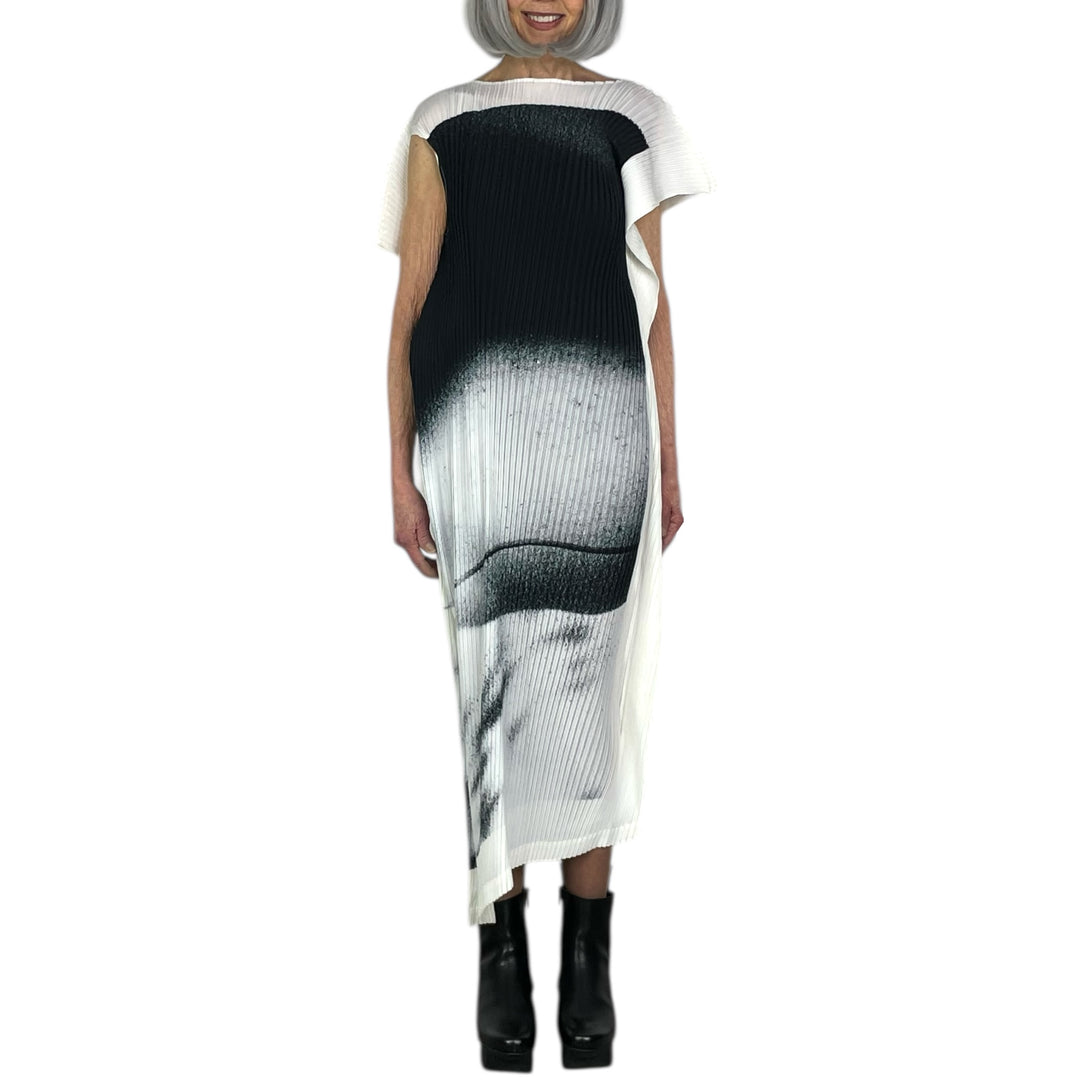 SHADOW STUDY PLEATS DRESS