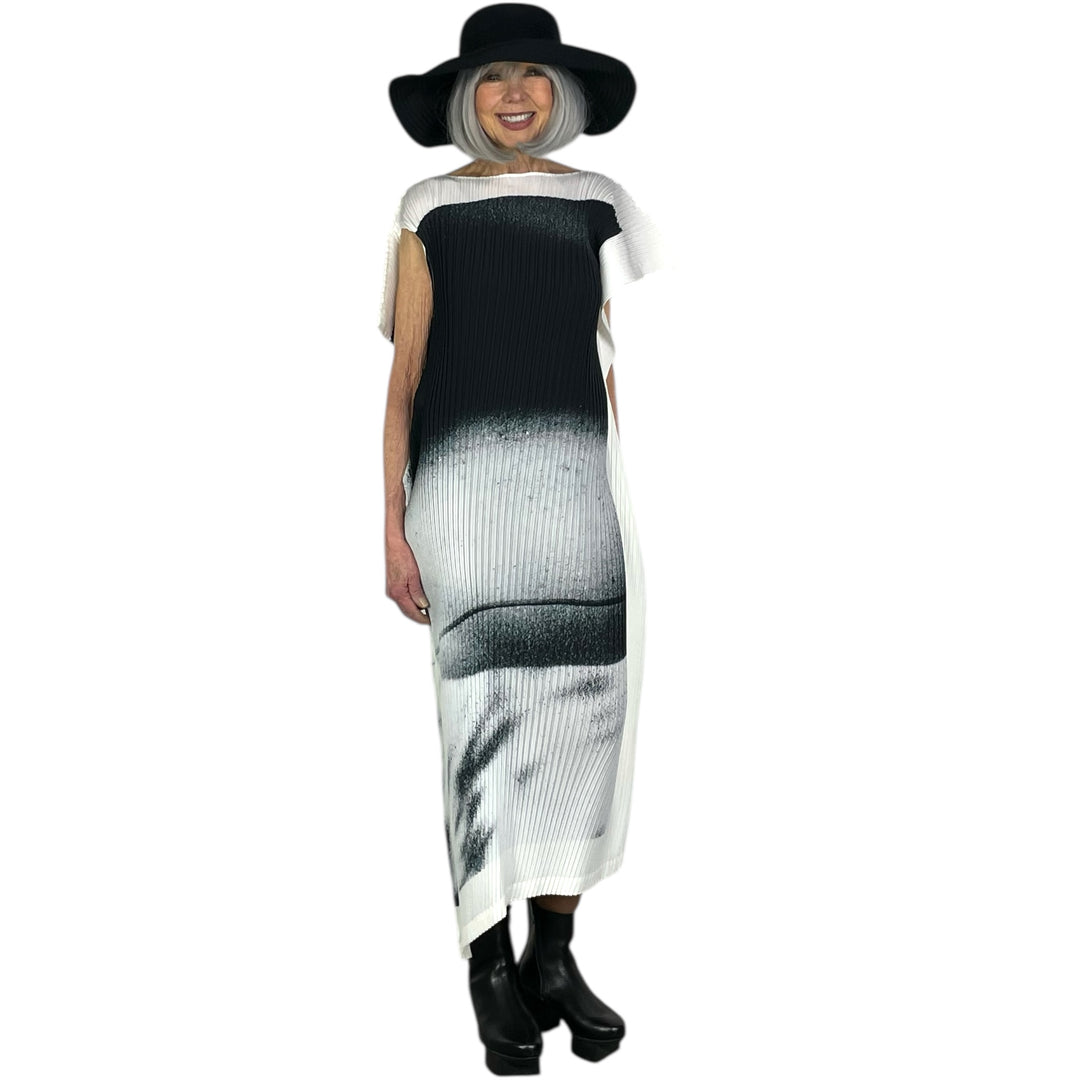 SHADOW STUDY PLEATS DRESS